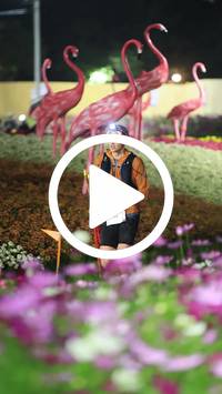 BIB:  <button type="button" onclick="openModal(27591126)" class="btn btn-primary btn-sm float-right" data-toggle="modal" data-target=".modal-high-quality">
                <i class="fa fa-download"></i> Download
                </button>